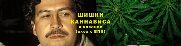индика Александровское